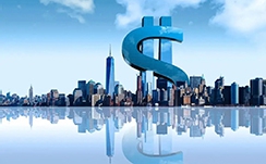 中金印度消费REIT：邱延冰，基金管理公司副总经理